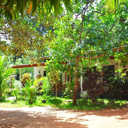 Sigiri Rock Side Home Stay Sigiriya Esterno foto