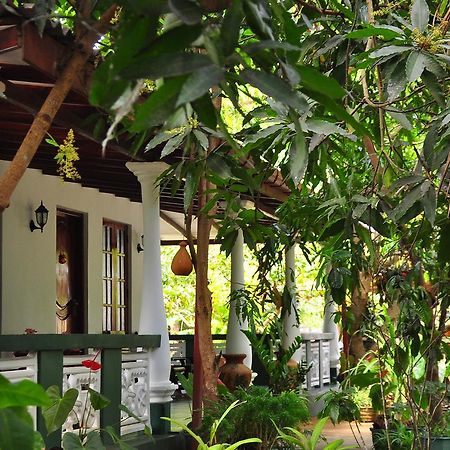 Sigiri Rock Side Home Stay Sigiriya Esterno foto