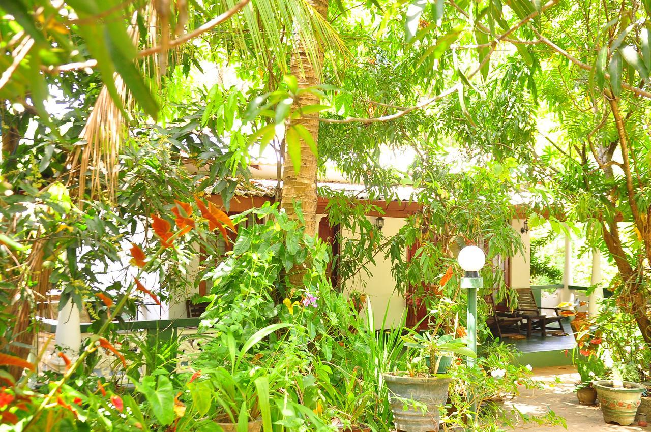 Sigiri Rock Side Home Stay Sigiriya Esterno foto