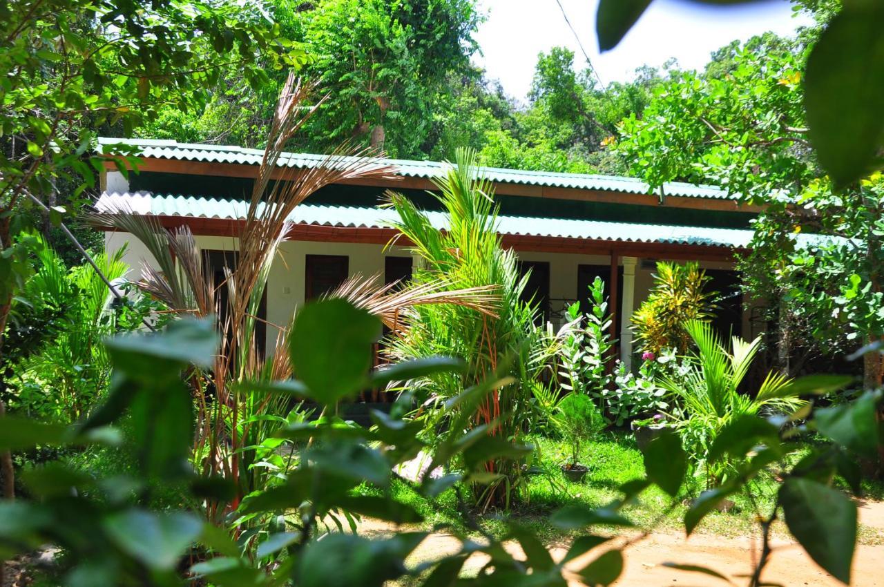 Sigiri Rock Side Home Stay Sigiriya Esterno foto