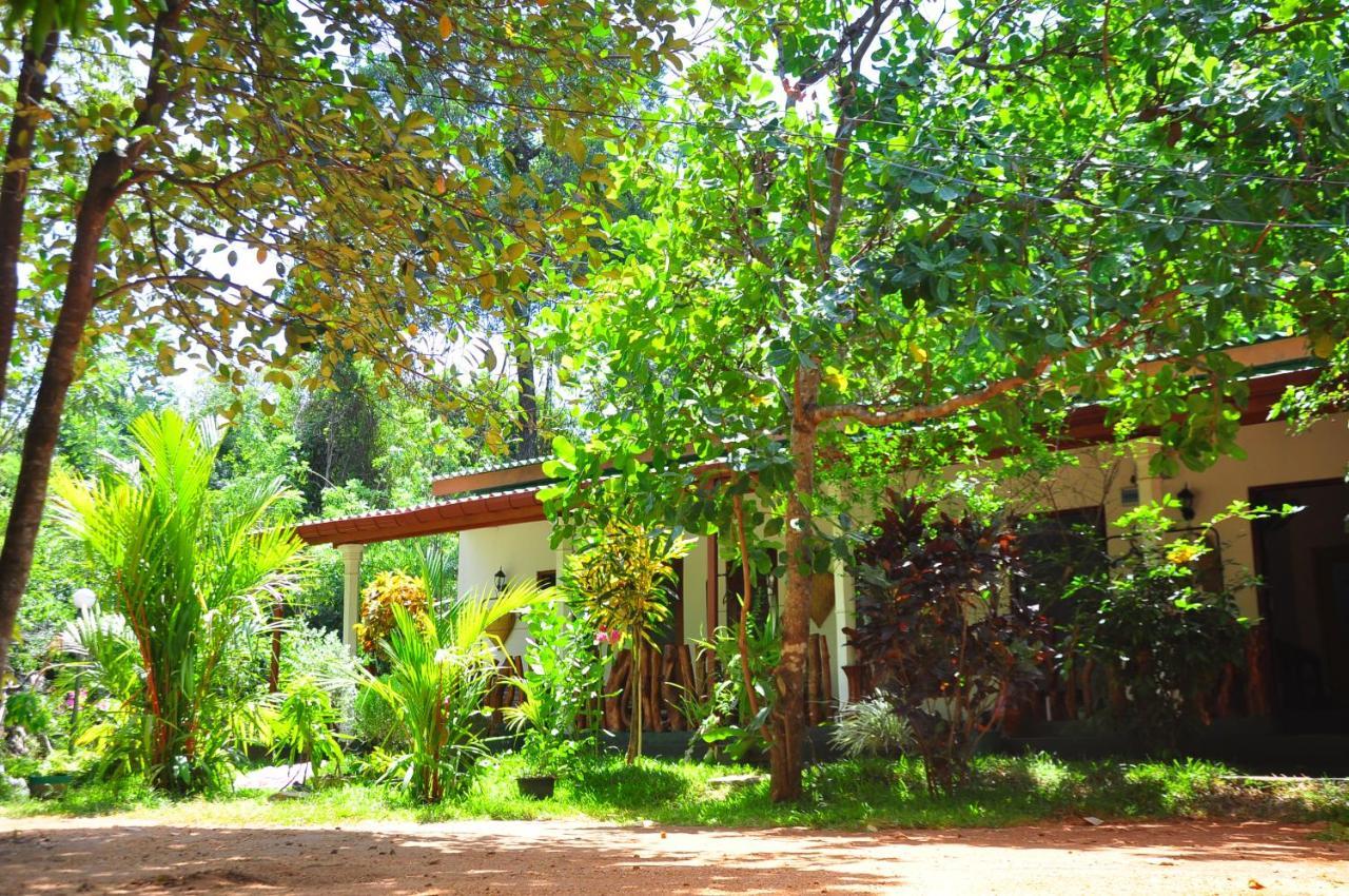 Sigiri Rock Side Home Stay Sigiriya Esterno foto